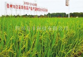 崇州市10万亩高产高效综合示范区智慧农业建设