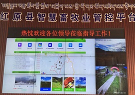 红原县智慧畜牧业监管平台